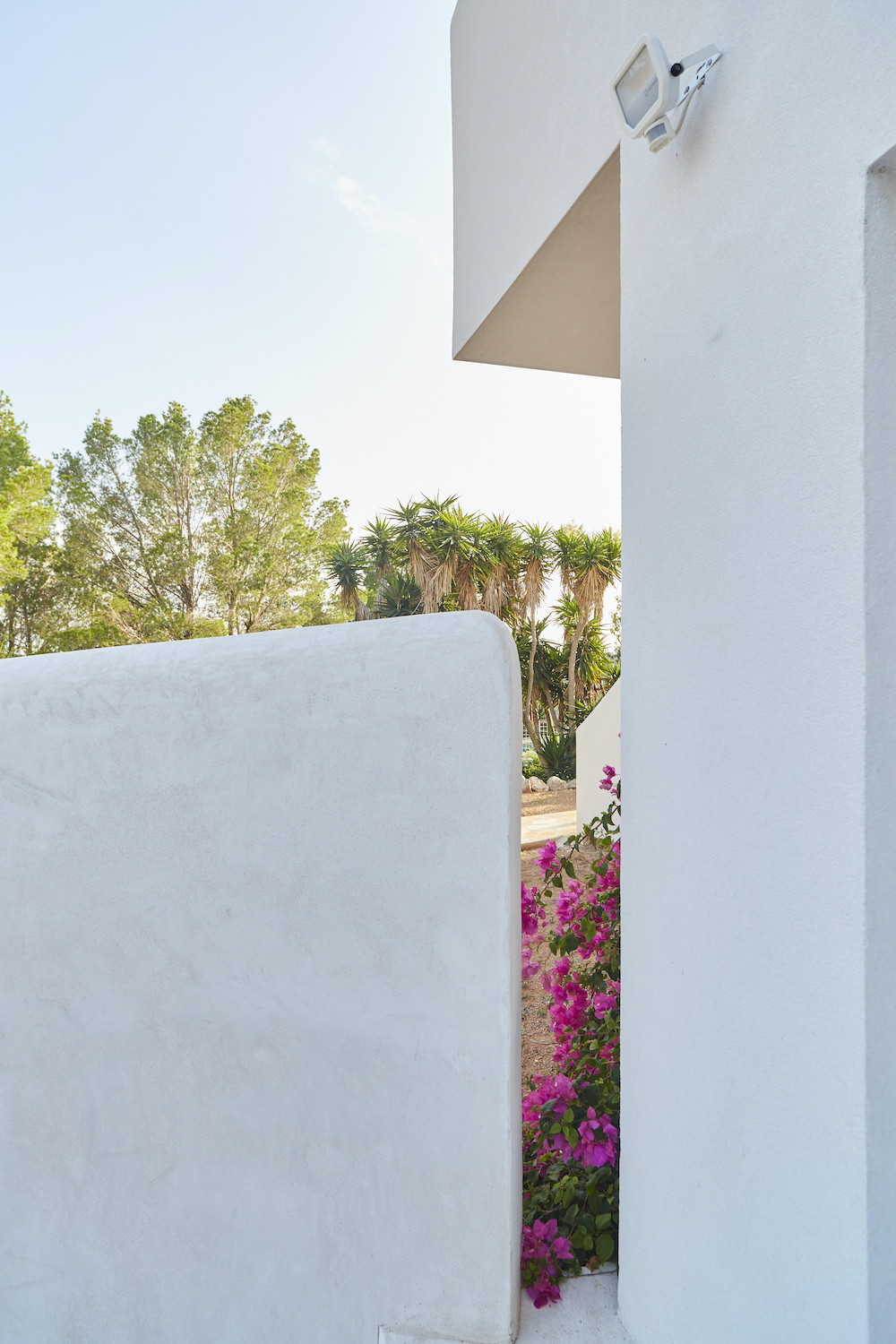 Detalle de muro blanco y buganvilla, reforma Na Xamena, Ibiza